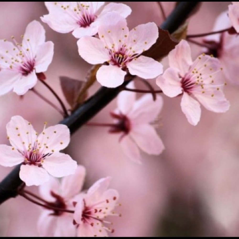 Meet your Posher, Gabriella